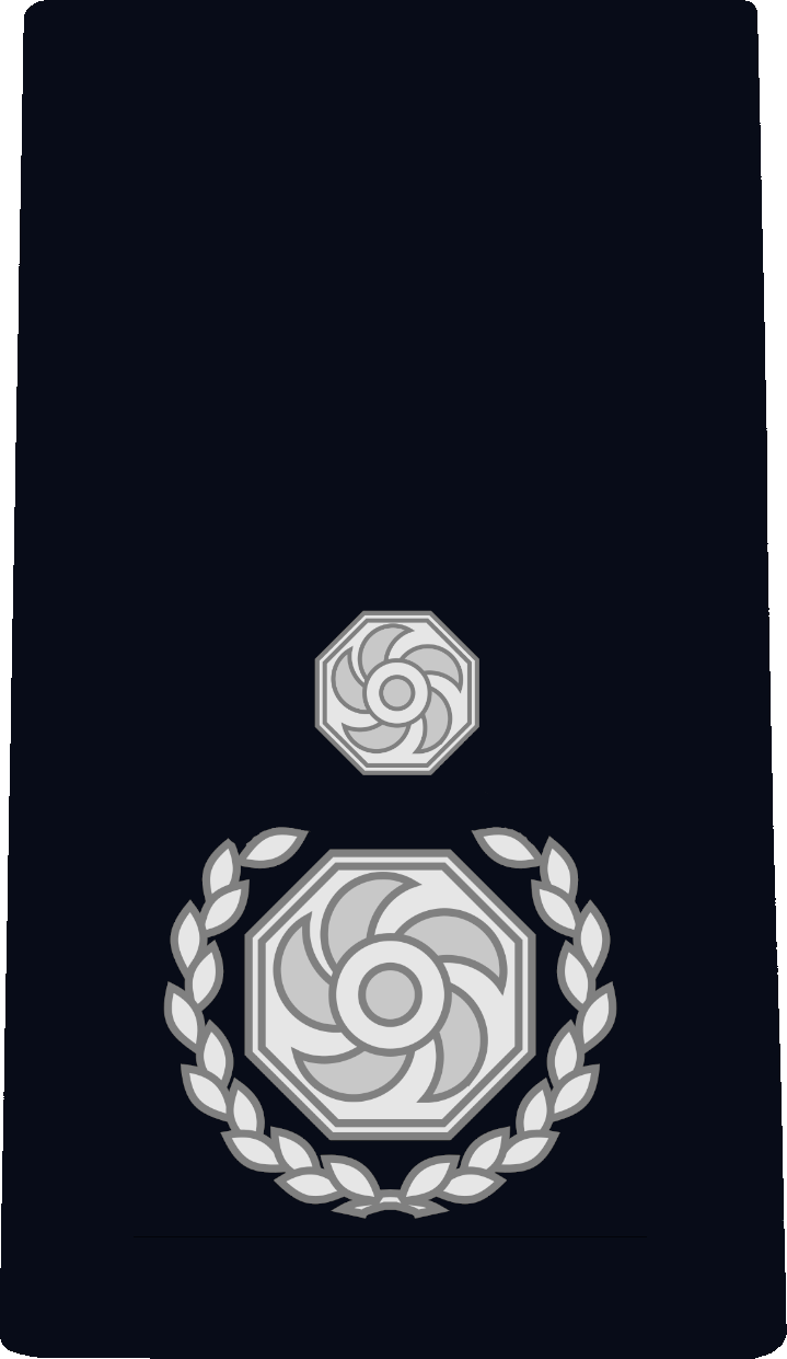 Deputy Chief Fire Officer rank insignia