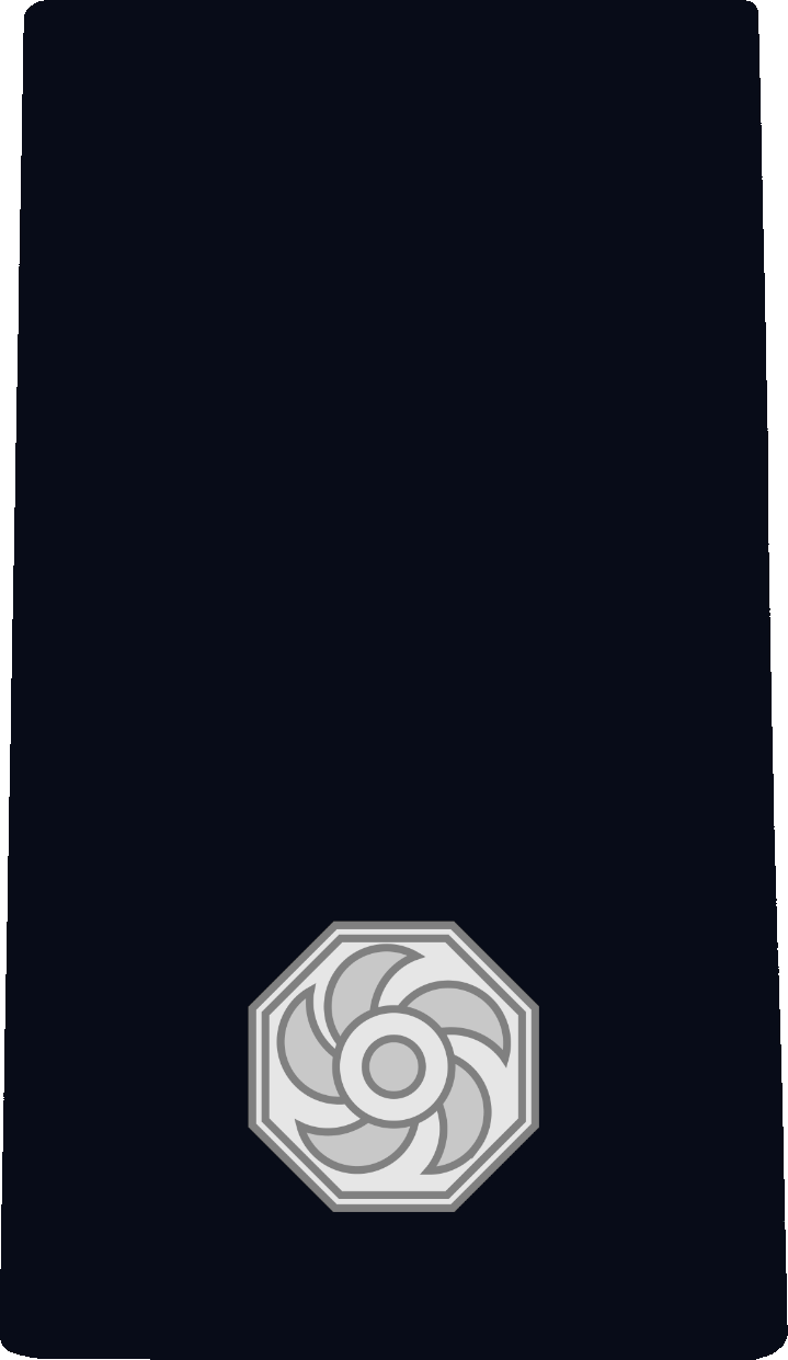 Station Officer rank insignia