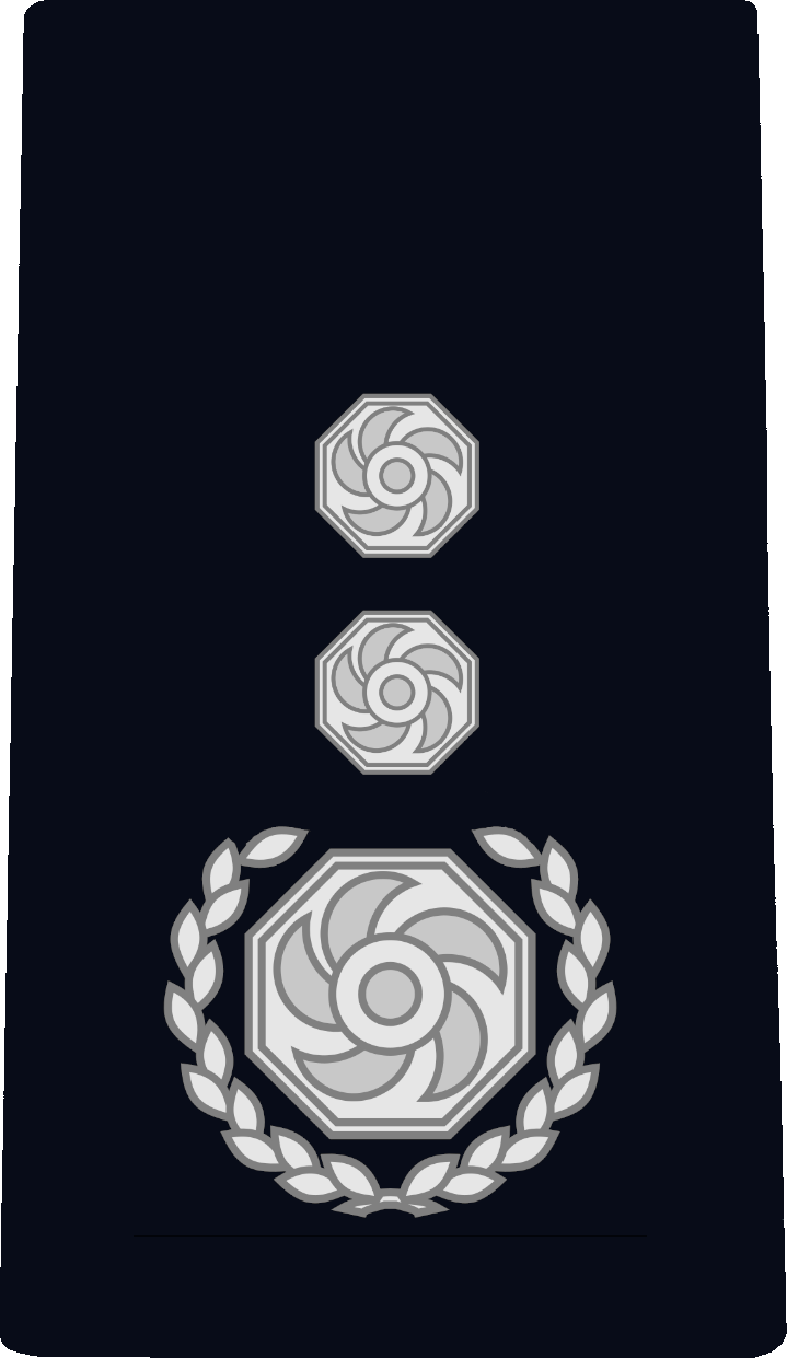 Chief Fire Officer